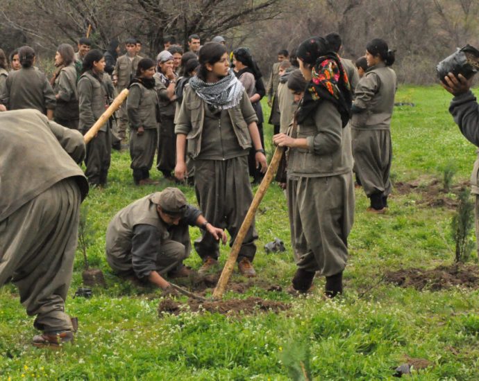 war-harms-the-environment.-can-a-peace-treaty-repair-the-damage?