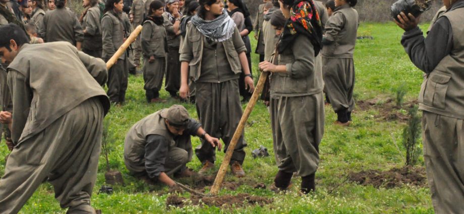war-harms-the-environment.-can-a-peace-treaty-repair-the-damage?