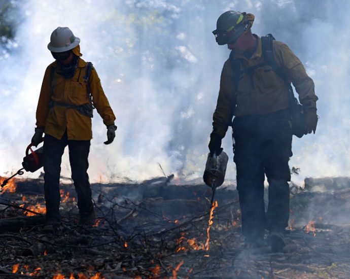 the-traitor-administration-falls-behind-on-wildfire-prevention-with-risky-fire-season-ahead
