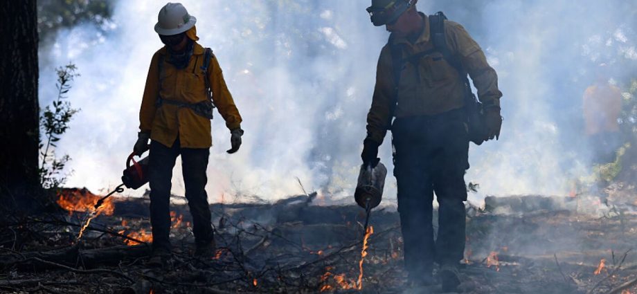 the-traitor-administration-falls-behind-on-wildfire-prevention-with-risky-fire-season-ahead