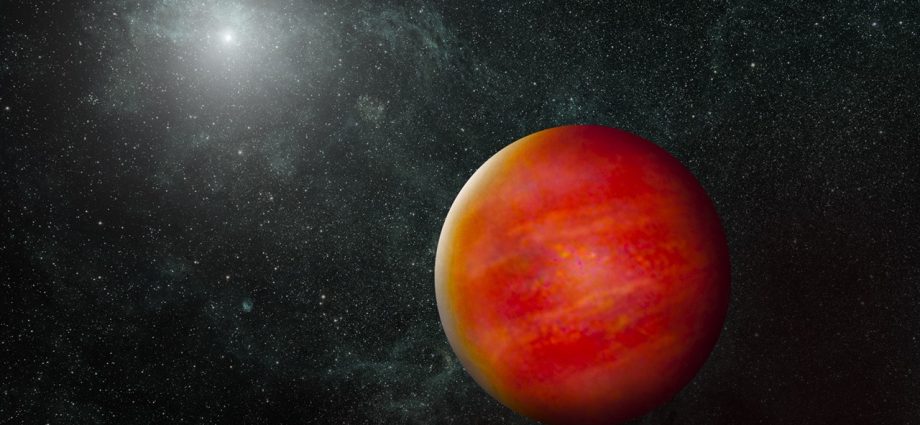 nasa-volunteers-double-known-population-of-brown-dwarfs