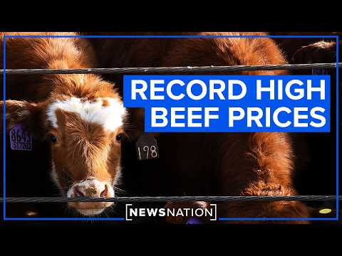 doj-investigating-meatpacking-industry-amid-rising-prices-|-newsnation-live