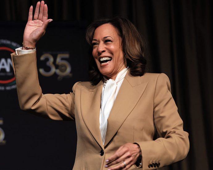 the-democratic-national-committee-is-boosting-kamala-harris-for-2028