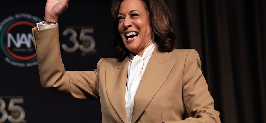 the-democratic-national-committee-is-boosting-kamala-harris-for-2028