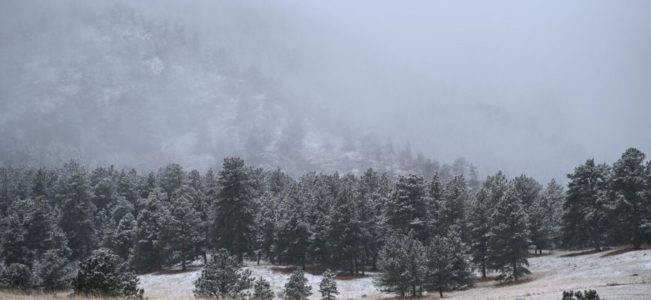 colorado-snowstorm-in-may-could-be-its-biggest-this-season
