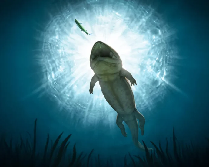 240-million-year-old-giant-“sand-creeper”-found-hidden-in-retaining-wall