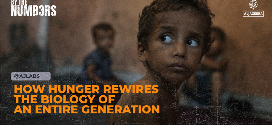 how-hunger-rewires-the-biology-of-an-entire-generation