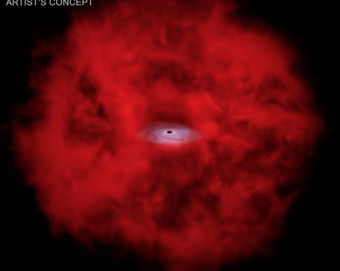 unlocking-the-mystery-of-x-ray-dots