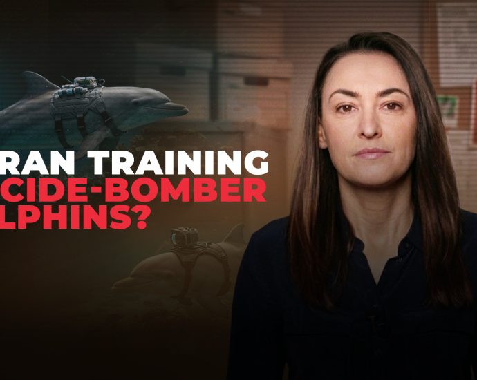 why-are-pentagon-officials-talking-about-iran’s-‘deadly-dolphins’?