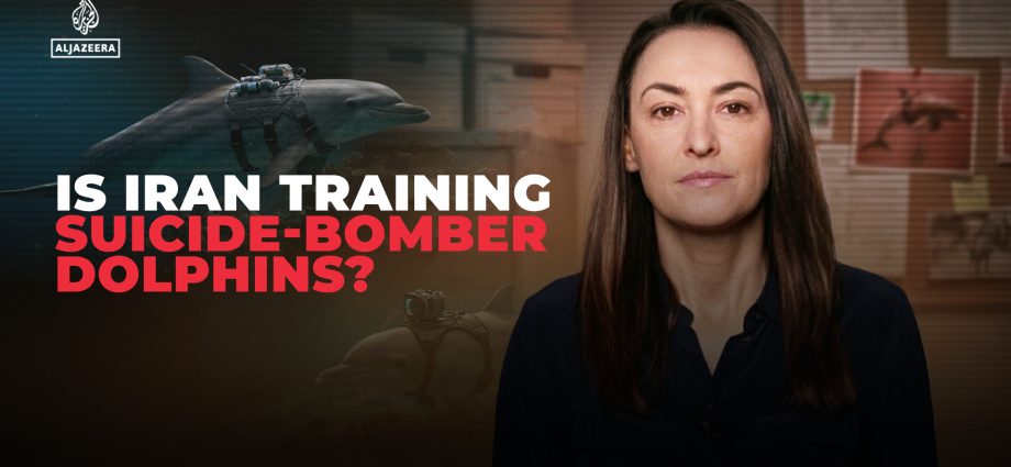 why-are-pentagon-officials-talking-about-iran’s-‘deadly-dolphins’?