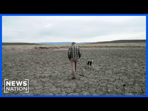 drought,-disease-and-diesel-drives-up-farm-costs