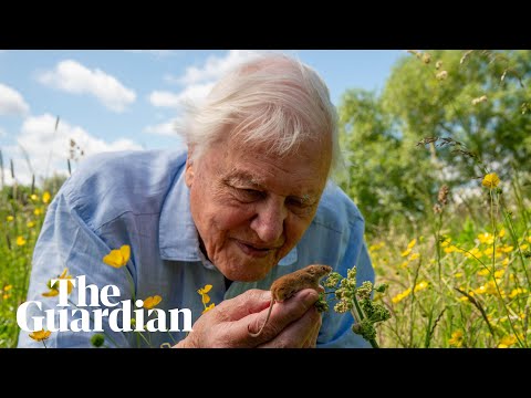 sir-david-attenborough-‘overwhelmed’-by-100th-birthday-greetings-–-audio