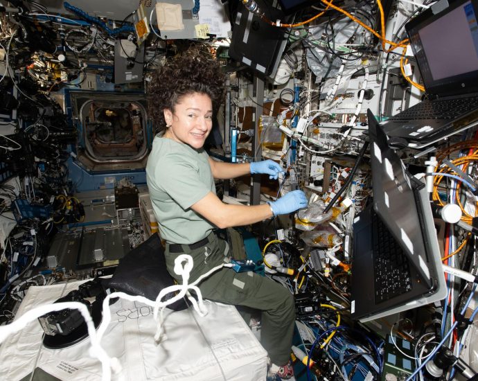 dna-inspired-treatments,-space-agriculture-top-crew’s-research-schedule
