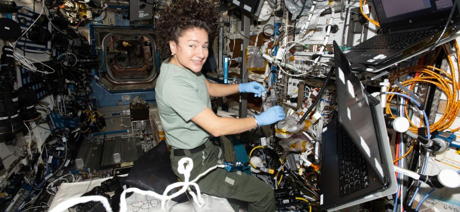 dna-inspired-treatments,-space-agriculture-top-crew’s-research-schedule
