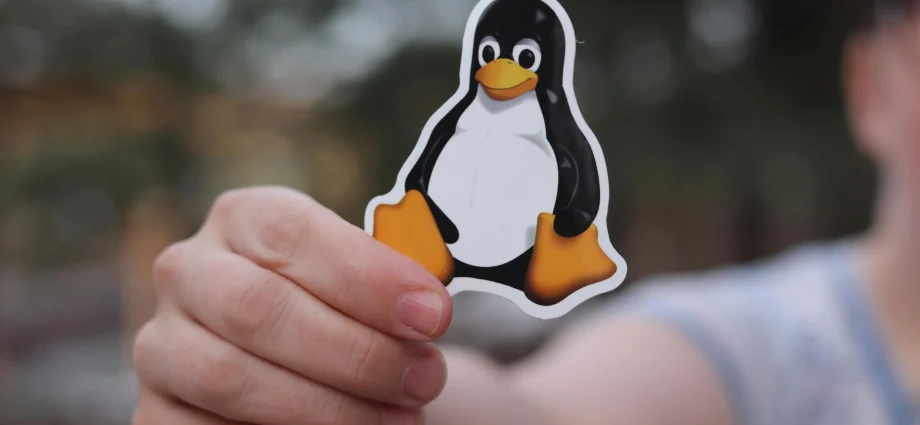Linux ‘Copy Fail’ flaw lets anyone hijack system privileges. Update ASAP