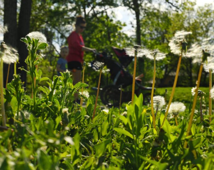 how-climate-change-makes-your-allergies-worse