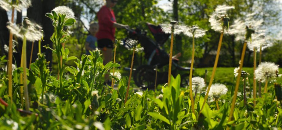 how-climate-change-makes-your-allergies-worse