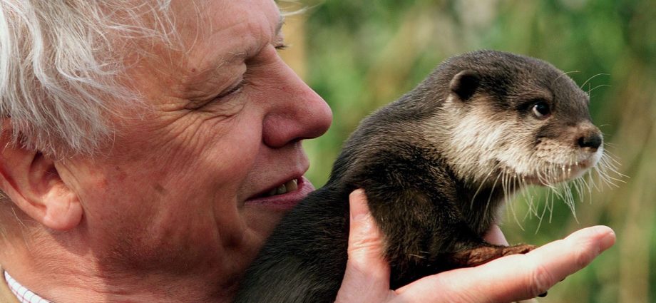 celebrated-naturalist-david-attenborough-marks-100th-birthday