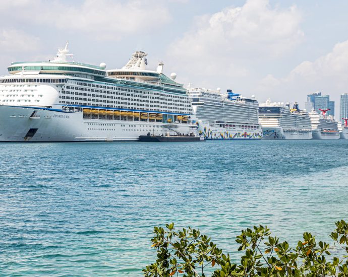 covid-19-cruise-passengers-recall-painful-memories-amid-hantavirus-outbreak