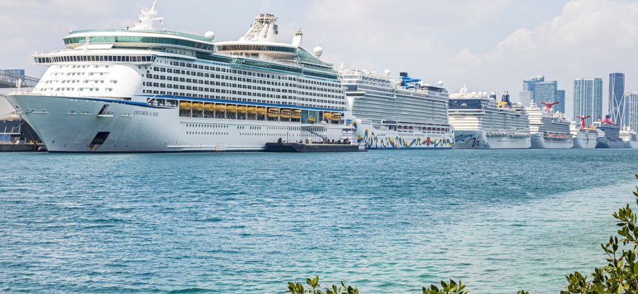 covid-19-cruise-passengers-recall-painful-memories-amid-hantavirus-outbreak