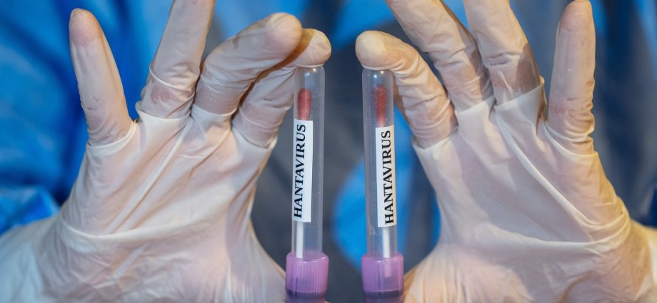 hantavirus-is-not-the-new-covid-19,-despite-what-social-media-says
