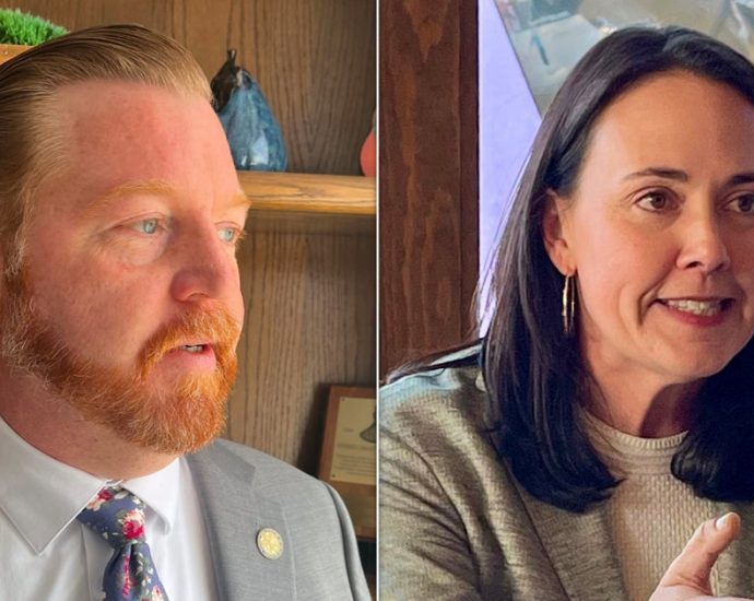 republicans-might-be-meddling-in-a-key-swing-district-primary-democrats-aren’t-sure-why.