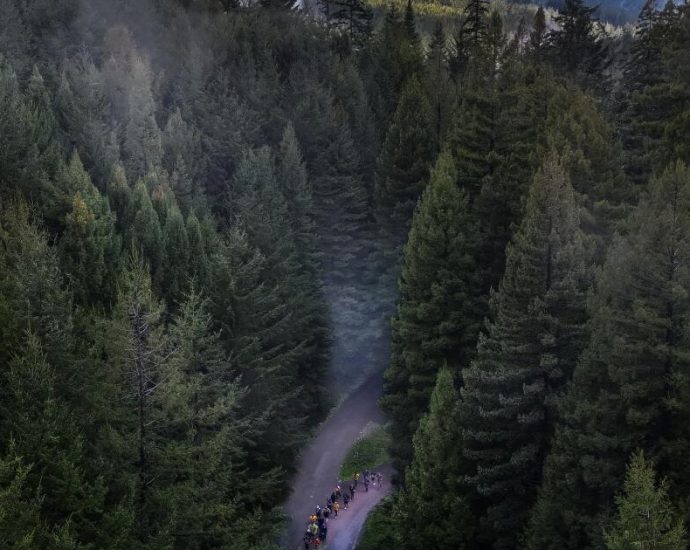 after-exile,-california-tribes-could-help-run-their-ancestral-redwoods-again