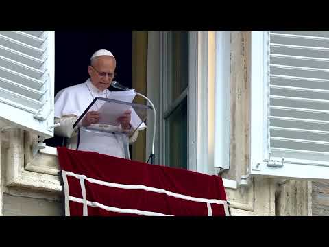 pope-thanks-canary-islands-for-hantavirus-patient-‘hospitality’