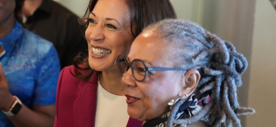 big-donors-backed-harris-in-2024.-for-2028,-they’re-not-so-sure