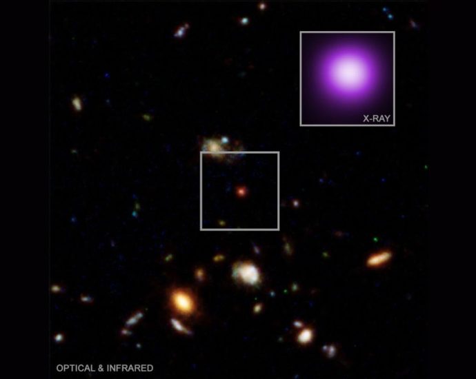 James Webb telescope zooms in on a black hole that could reveal the truth about ‘little red dots’