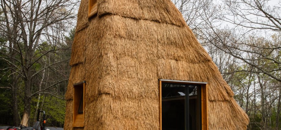 beware-of-wolves,-but-straw-houses-could-help-with-climate-change