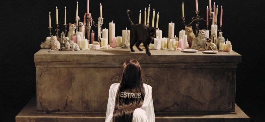 tove-lo-announces-eerie-new-album-‘estrus’-and-fans-are-ready-to-spiral