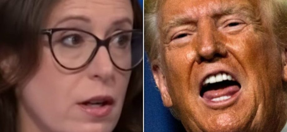 maggie-haberman-says-race-to-replace-traitor-47-is-1-republican’s-to-lose