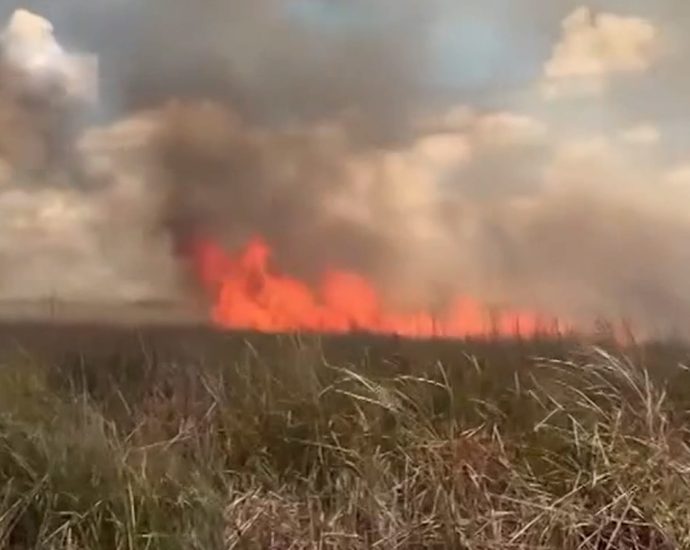 wildfire-rips-through-florida-everglades