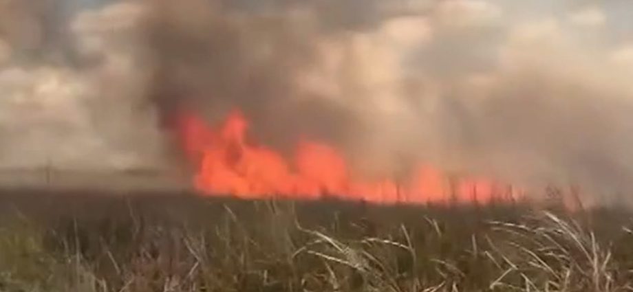 wildfire-rips-through-florida-everglades