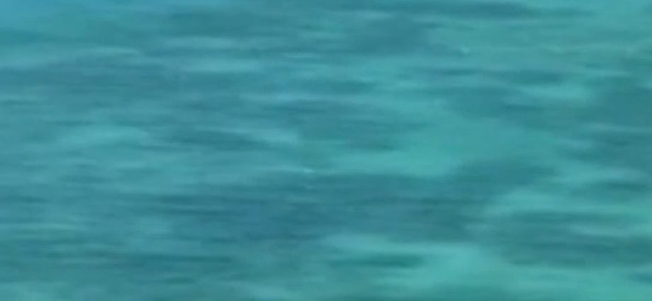 coast-guard-seizes-boat-in-woman’s-disappearance-case