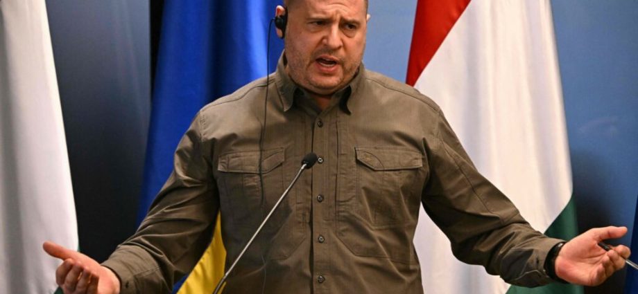 ukraine’s-anti-corruption-agencies-uncover-major-laundering-scheme-involving-former-top-officials-and-elite-real-estate-near-kyiv