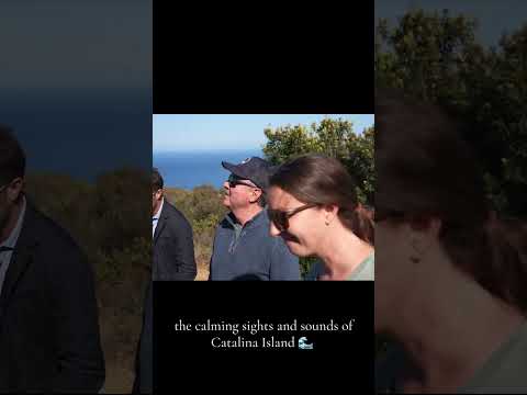 please-enjoy-the-calming-sights-and-sounds-of-california’s-very-own-catalina-island-🌊