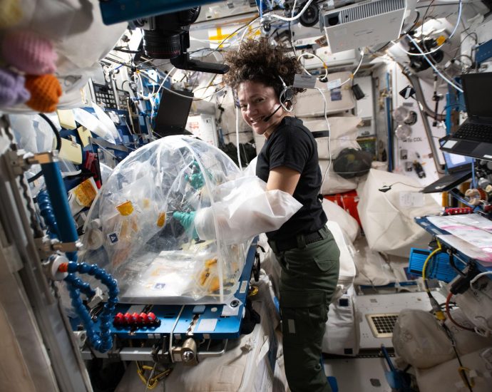 station-hums-with-advanced-research-as-dragon-nears-launch