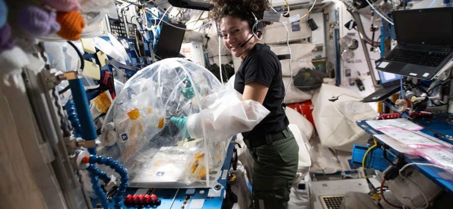 station-hums-with-advanced-research-as-dragon-nears-launch