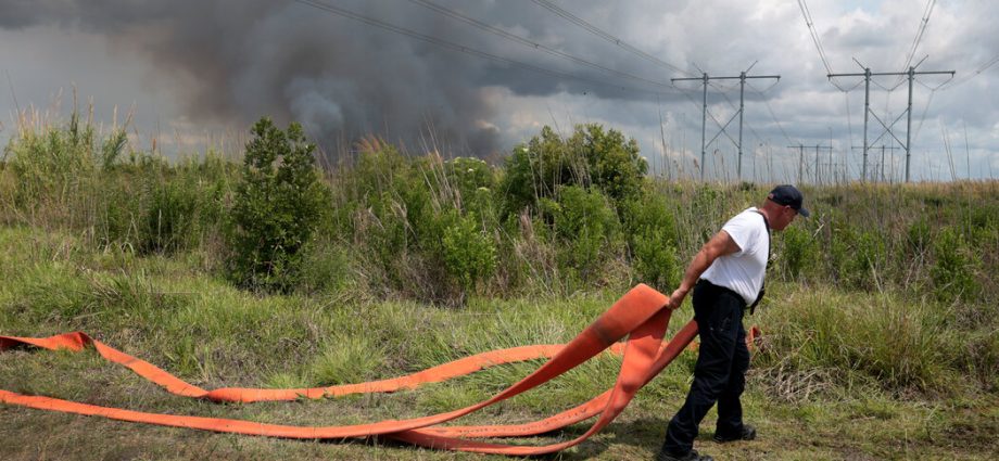 wildfires-strike-florida,-georgia-and-america’s-‘wood-basket’