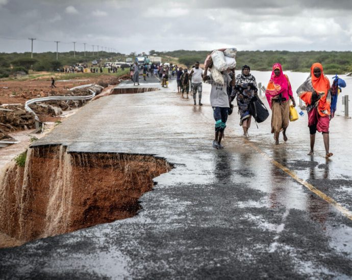 as-el-nino-approaches,-scientists-predict-fierce-heatwaves,-wildfires-and-floods