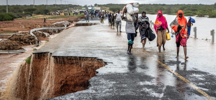 as-el-nino-approaches,-scientists-predict-fierce-heatwaves,-wildfires-and-floods