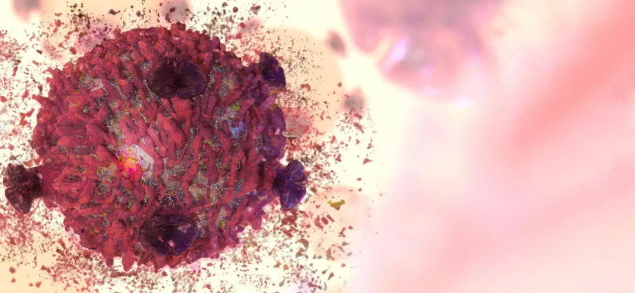 a-rare-cancer-fighting-plant-compound-has-been-decoded