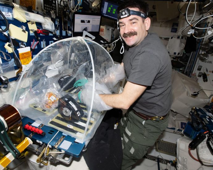 studying-pneumonia-in-space-for-heart-health-on-earth