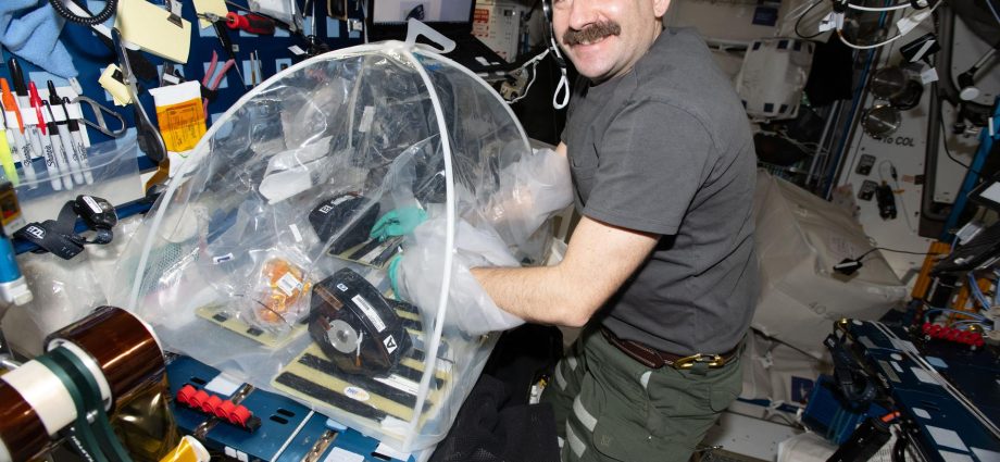 studying-pneumonia-in-space-for-heart-health-on-earth