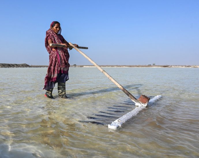 india’s-salt-workers-brave-brutal-heat-on-gujarat’s-desert-plains
