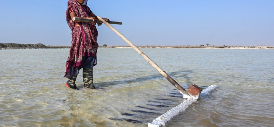 india’s-salt-workers-brave-brutal-heat-on-gujarat’s-desert-plains