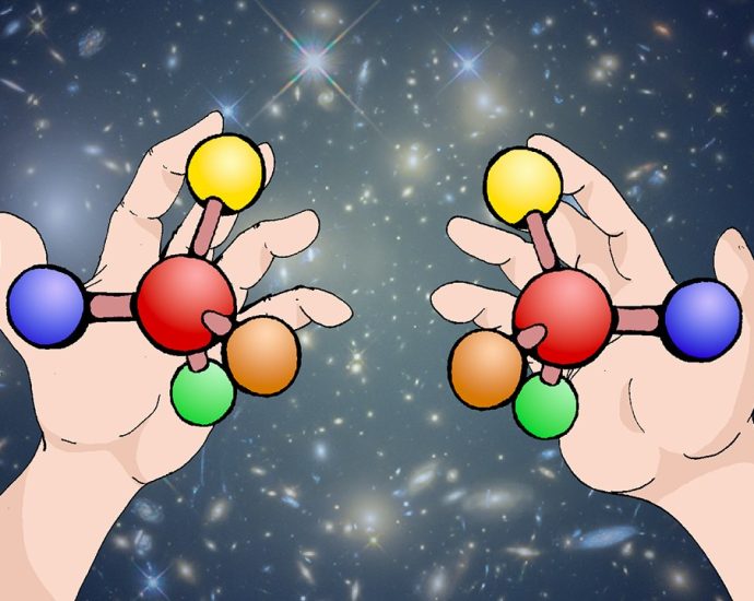 what-are-the-characteristics-of-life?