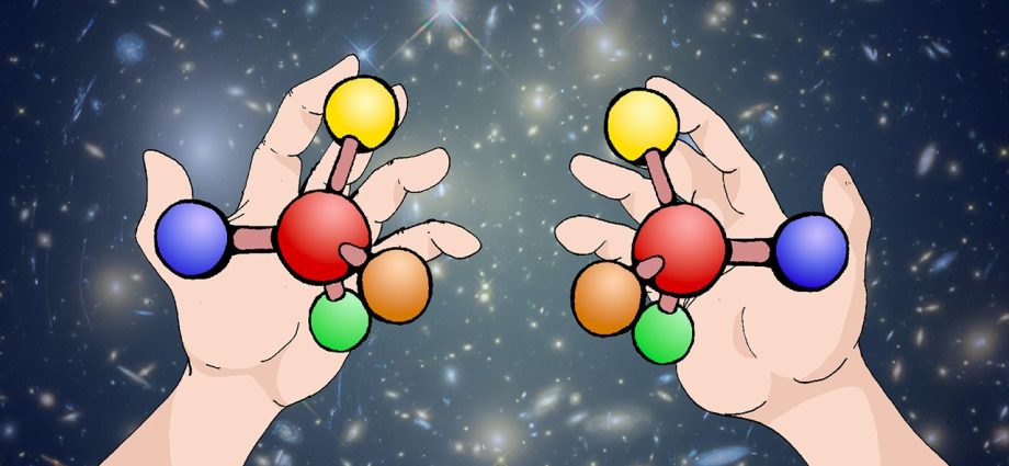 what-are-the-characteristics-of-life?